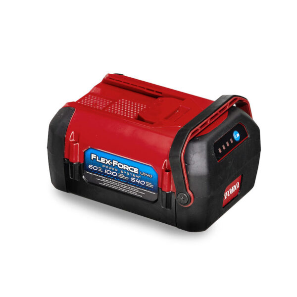 60V Max* Flex-Force 10.0 Ah Lithium-Ion Battery - Model 66810